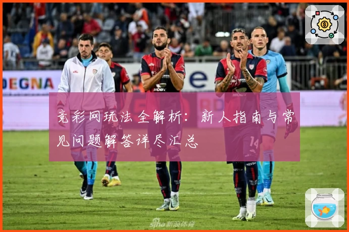 竞彩网玩法全解析：新人指南与常见问题解答详尽汇总