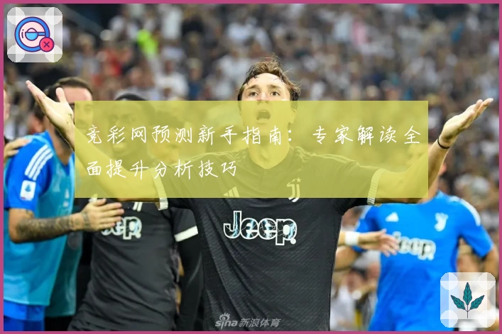 竞彩网预测新手指南:专家解读全面提升分析技巧