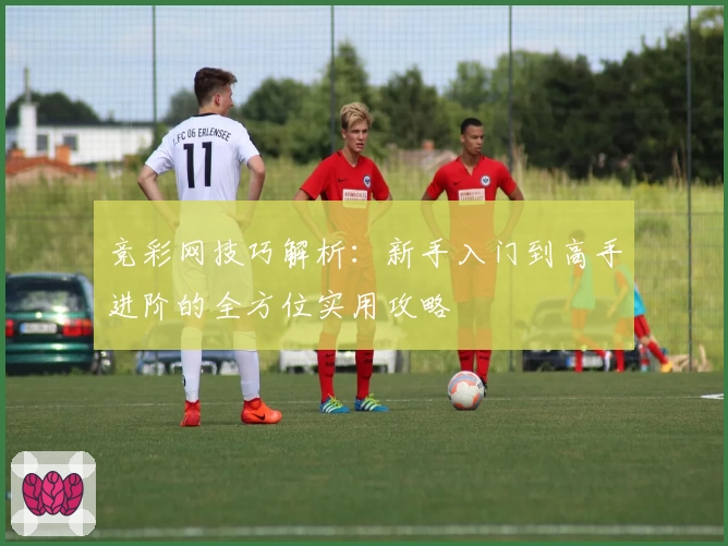 竞彩网技巧解析：新手入门到高手进阶的全方位实用攻略